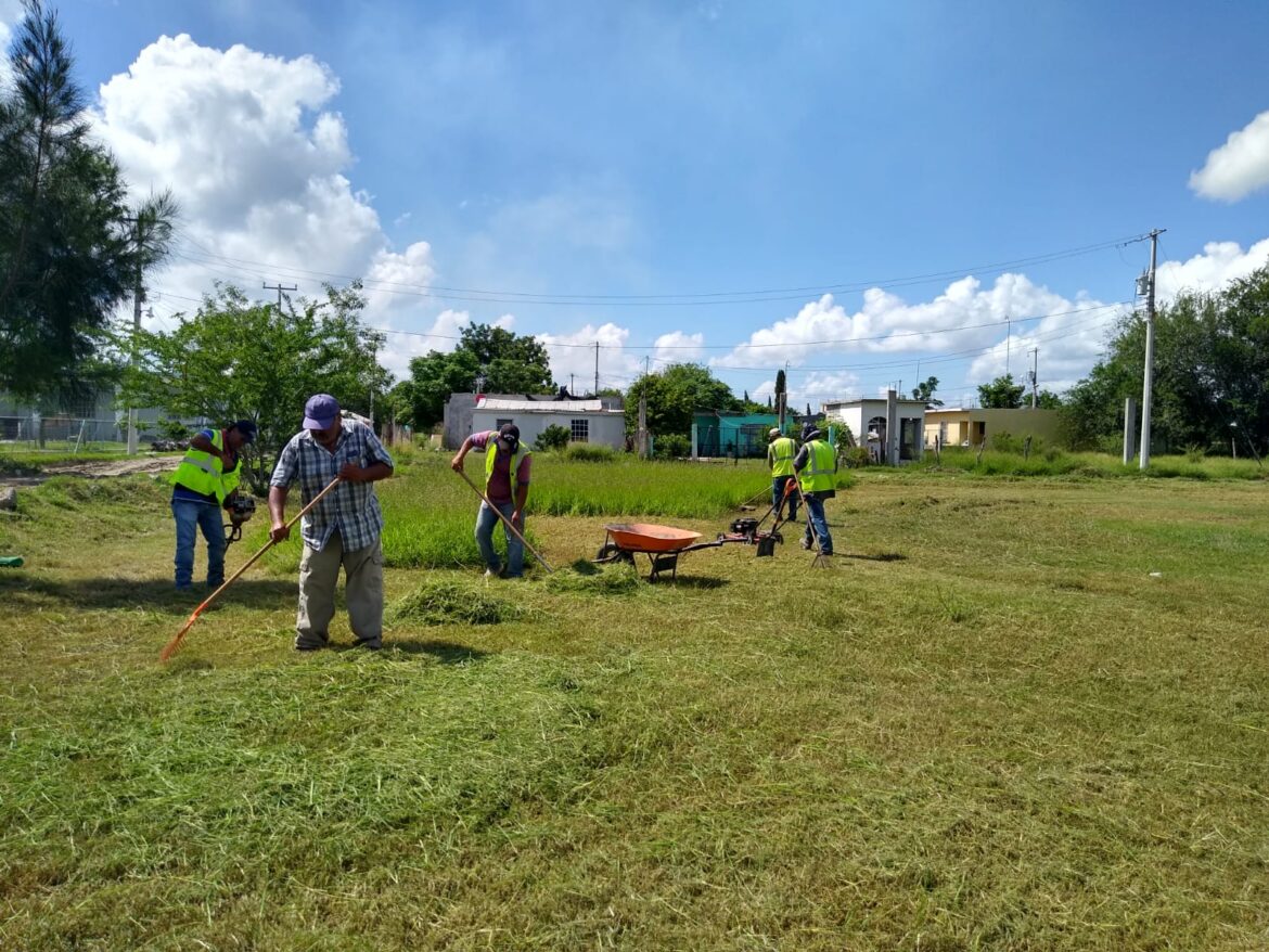 GOBIERNO DE RÍO BRAVO EMBELLECE ÁREAS VERDES