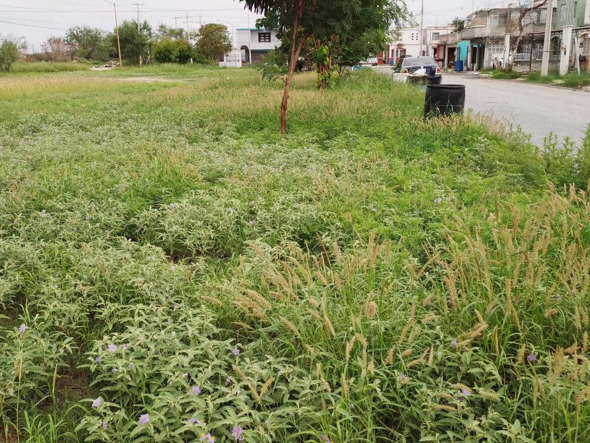 DIGNIFICA GOBIERNO DE RÍO BRAVO, ÁREAS FAMILIARES EN BRISAS DEL CAMPO